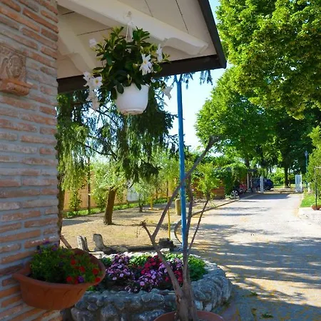 L'albero Dei Gufi * Copparo