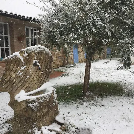 Nocleg ze śniadaniem L'albero Dei Gufi *