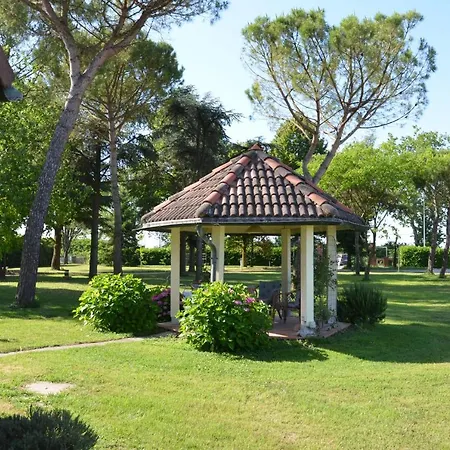 L'albero Dei Gufi *