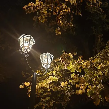 L'albero Dei Gufi Bed & Breakfast